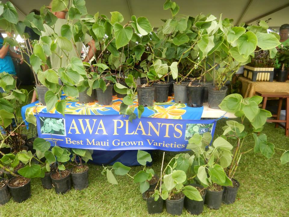 awa-plants.jpg